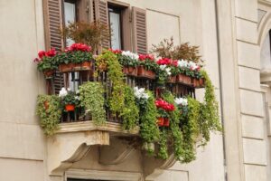 Cosa piantare sul balcone in primavera per avere fiori tutto l'anno senza fatica